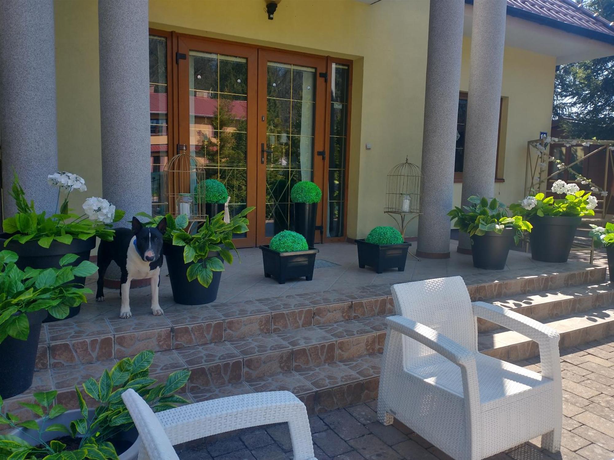 Korab Wiselka & Spa Hotell Exteriör bild
